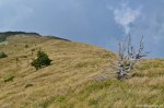 Filename=DSC_1405.jpg
Filesize=336KB
Dimensions=1024x678
Date added=Jan 02, 2017 DSC_1405.jpg