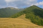 Filename=DSC_1431.jpg
Filesize=265KB
Dimensions=1024x678
Date added=Jan 02, 2017 DSC_1431.jpg