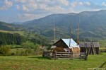 Filename=DSC_1445.jpg
Filesize=274KB
Dimensions=1024x678
Date added=Jan 02, 2017 DSC_1445.jpg