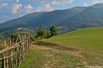 Filename=DSC_1458.jpg
Filesize=311KB
Dimensions=1024x678
Date added=Jan 02, 2017 DSC_1458.jpg