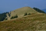 Filename=DSC_1477.jpg
Filesize=330KB
Dimensions=1024x678
Date added=Jan 02, 2017 DSC_1477.jpg