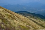 Filename=DSC_1540.jpg
Filesize=281KB
Dimensions=1024x678
Date added=Jan 02, 2017 DSC_1540.jpg