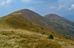 Filename=DSC_1587.jpg
Filesize=289KB
Dimensions=1024x678
Date added=Jan 02, 2017 DSC_1587.jpg