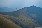 Filename=DSC_1614.jpg
Filesize=295KB
Dimensions=1024x678
Date added=Jan 02, 2017 DSC_1614.jpg