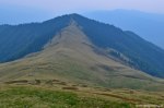 Filename=DSC_1666.jpg
Filesize=236KB
Dimensions=1024x678
Date added=Jan 02, 2017 DSC_1666.jpg