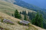 Filename=DSC_1684.jpg
Filesize=311KB
Dimensions=1024x678
Date added=Jan 02, 2017 DSC_1684.jpg