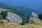 Filename=DSC_1685.jpg
Filesize=310KB
Dimensions=1024x678
Date added=Jan 02, 2017 DSC_1685.jpg