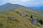 Filename=DSC_1688.jpg
Filesize=337KB
Dimensions=1024x678
Date added=Jan 02, 2017 DSC_1688.jpg