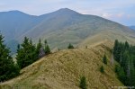 Filename=DSC_1696.jpg
Filesize=323KB
Dimensions=1024x678
Date added=Jan 02, 2017 DSC_1696.jpg