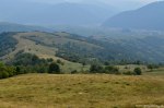 Filename=DSC_1698.jpg
Filesize=276KB
Dimensions=1024x678
Date added=Jan 02, 2017 DSC_1698.jpg