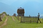 Filename=DSC_1726.jpg
Filesize=316KB
Dimensions=1024x678
Date added=Jan 02, 2017 DSC_1726.jpg