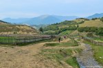 Filename=DSC_1750.jpg
Filesize=277KB
Dimensions=1024x678
Date added=Jan 02, 2017 DSC_1750.jpg