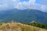 Filename=DSC_1754.jpg
Filesize=295KB
Dimensions=1024x678
Date added=Jan 07, 2017 DSC_1754.jpg
