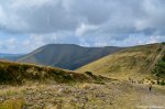 Filename=DSC_1797.jpg
Filesize=315KB
Dimensions=1024x678
Date added=Jan 07, 2017 DSC_1797.jpg