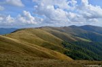 Filename=DSC_1817.jpg
Filesize=290KB
Dimensions=1024x678
Date added=Jan 07, 2017 DSC_1817.jpg