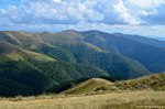 Filename=DSC_1826.jpg
Filesize=335KB
Dimensions=1024x678
Date added=Jan 07, 2017 DSC_1826.jpg
