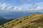 Filename=DSC_1828.jpg
Filesize=284KB
Dimensions=1024x678
Date added=Jan 07, 2017 DSC_1828.jpg
