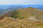 Filename=DSC_1962.jpg
Filesize=310KB
Dimensions=1024x678
Date added=Jan 08, 2017 DSC_1962.jpg