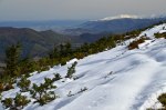 Filename=DSC_2017.jpg
Filesize=288KB
Dimensions=1024x678
Date added=Jan 08, 2017 DSC_2017.jpg