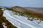 Filename=DSC_2020.jpg
Filesize=338KB
Dimensions=1024x678
Date added=Jan 08, 2017 DSC_2020.jpg