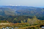 Filename=DSC_2037.jpg
Filesize=313KB
Dimensions=1024x678
Date added=Jan 08, 2017 DSC_2037.jpg